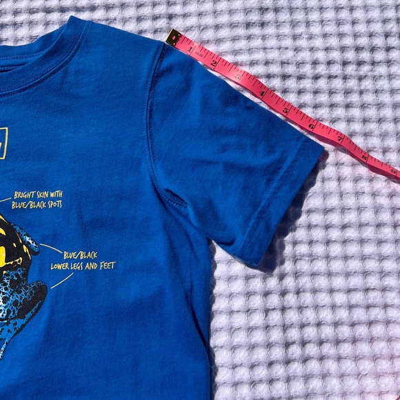 Blue Dart Frog Short Sleeve Tee Shirt - Picture 9 of 11